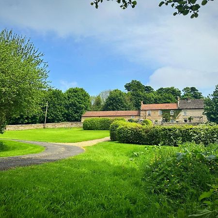 Old Orchard Cottage, Wykeham Scarborough Exteriör bild