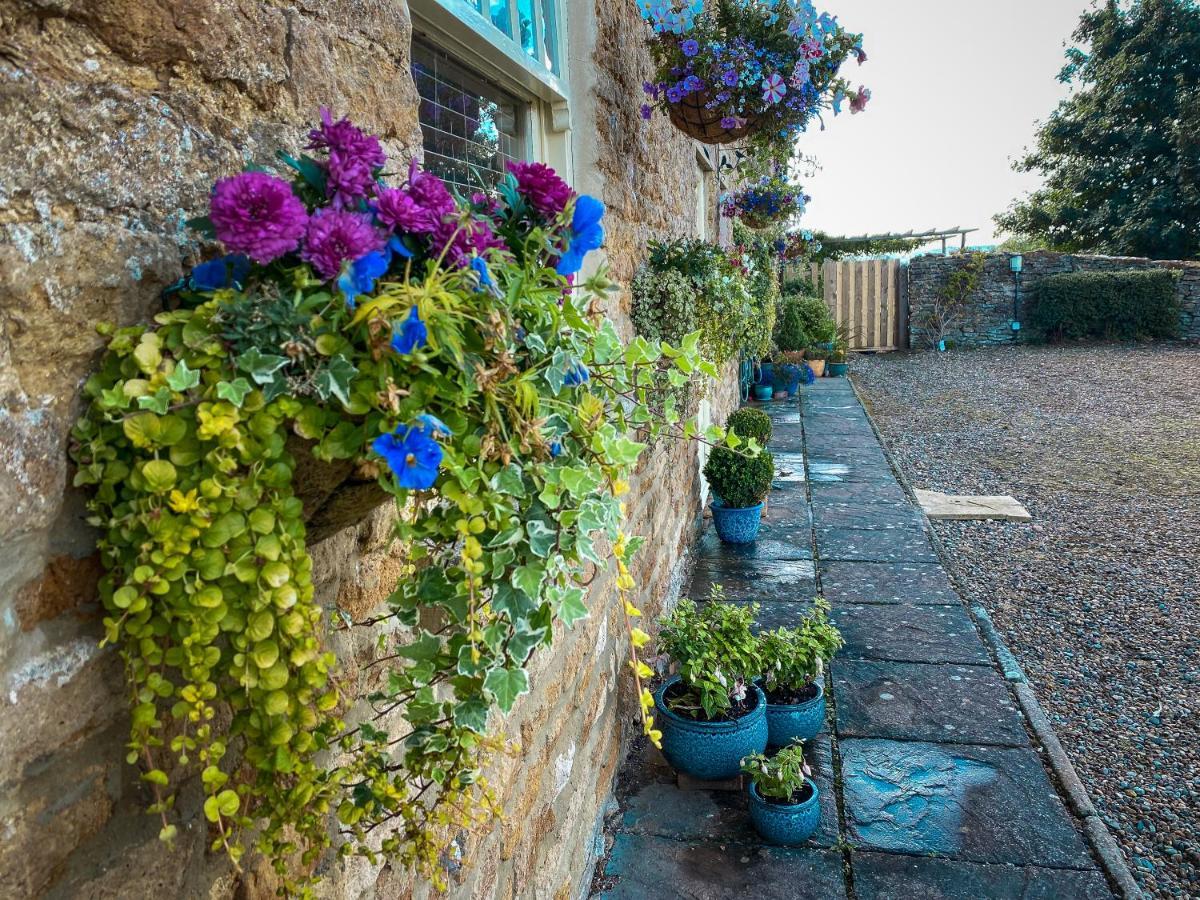 Old Orchard Cottage, Wykeham Scarborough Exteriör bild