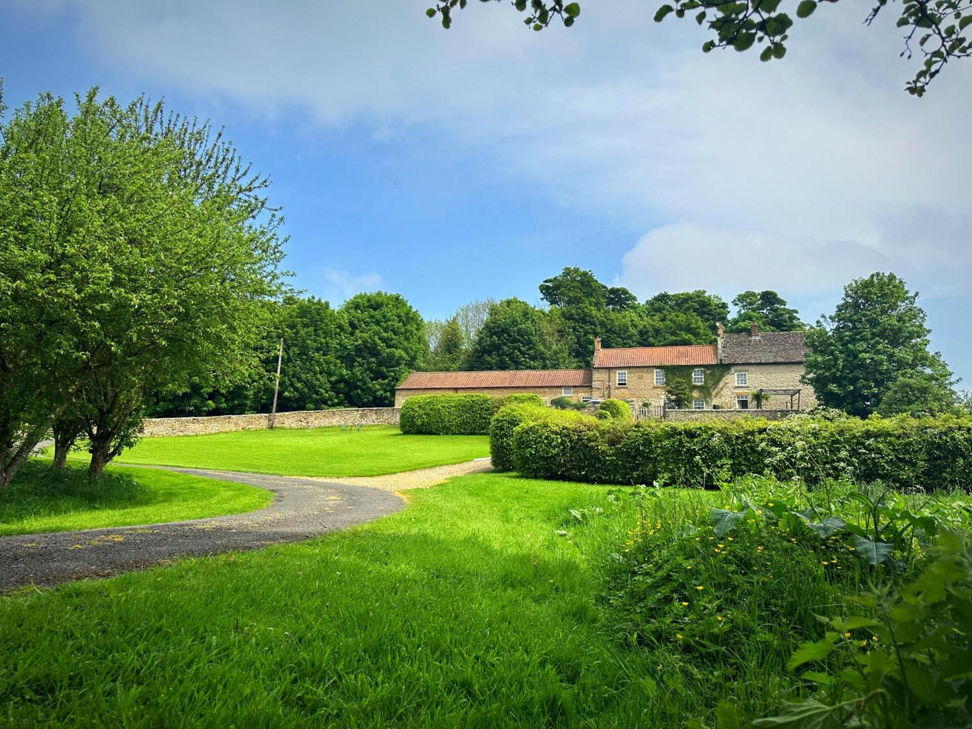 Old Orchard Cottage, Wykeham Scarborough Exteriör bild