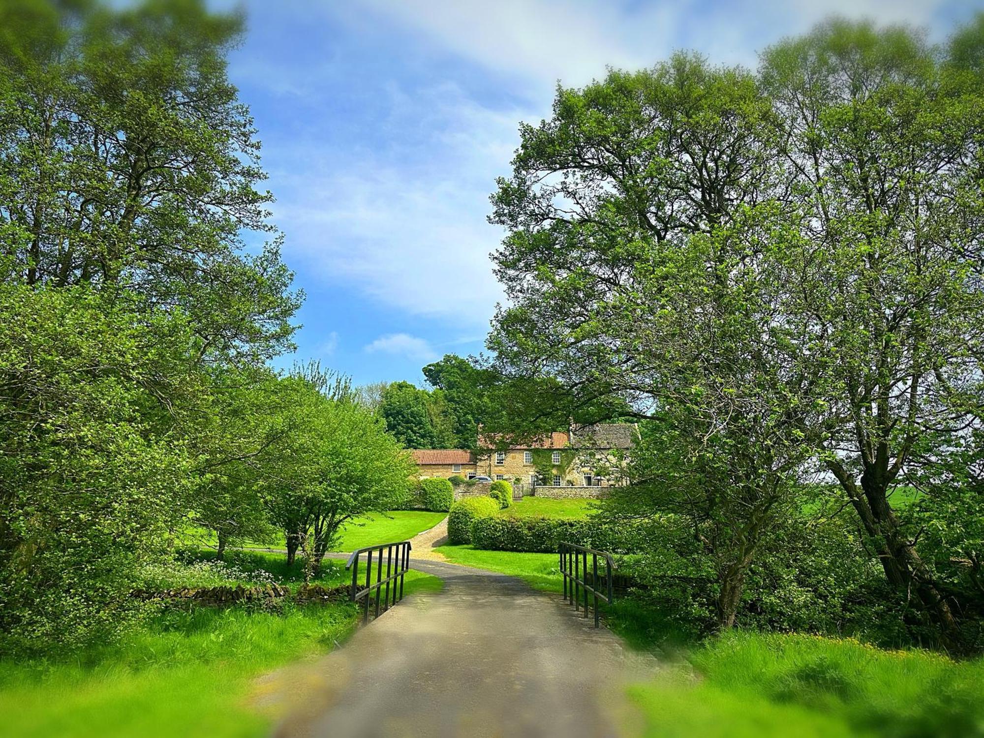Old Orchard Cottage, Wykeham Scarborough Exteriör bild